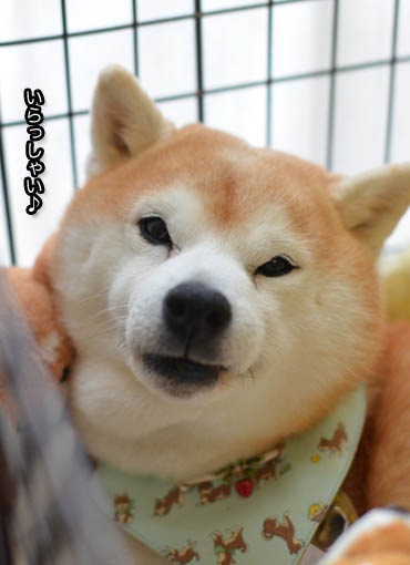 9日ブログ8.jpg