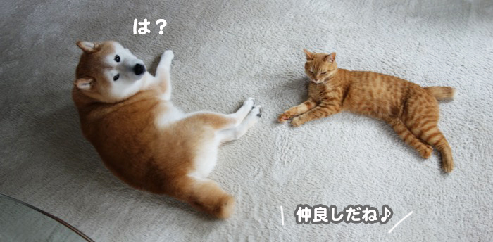 29日ブログ２