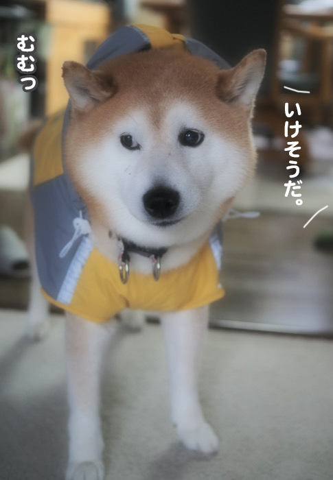 3日夜ブログ２