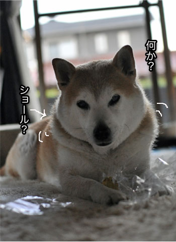 26日ブログ13.jpg