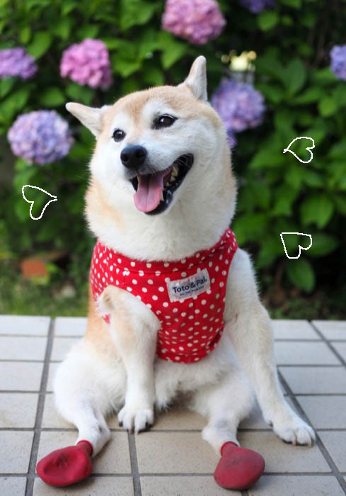 17日ブログ５