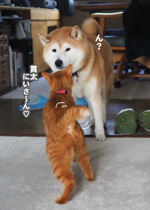 14日夕ブログ２