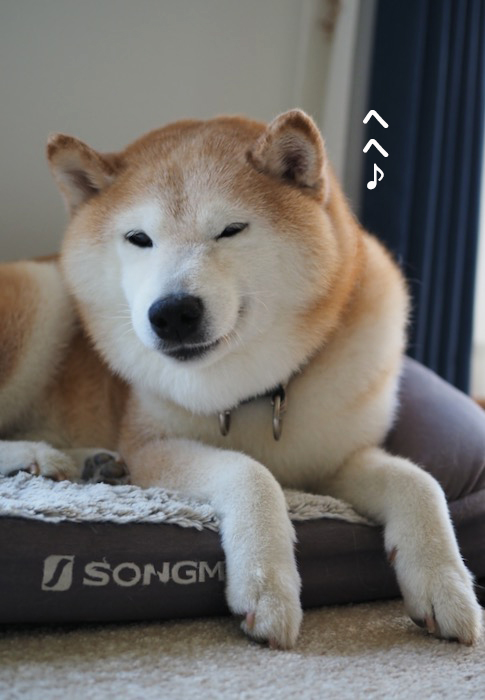 13日夕ブログ５