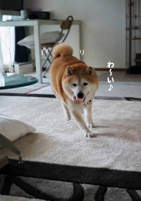14日夕ブログ６