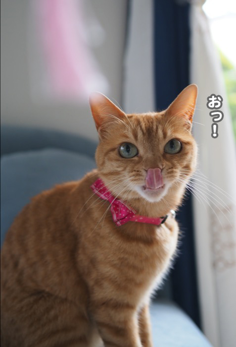 17日夕ブログ５