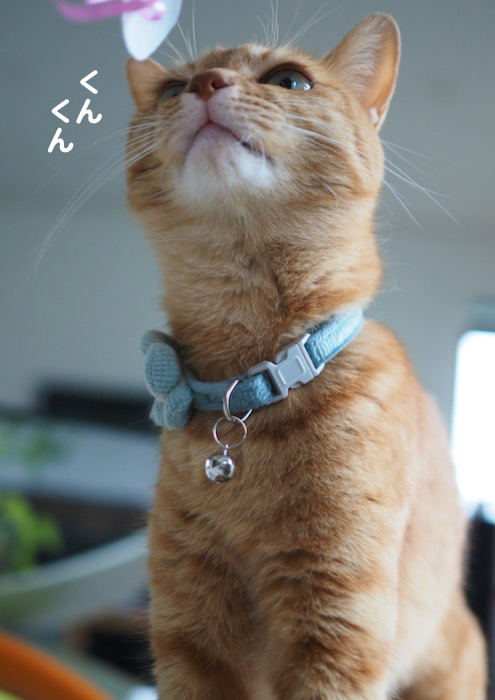 27日夕ブログ８