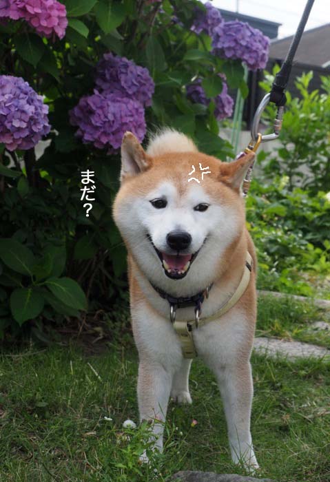 11日夜ブログ４