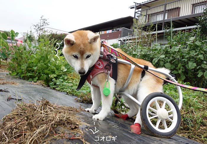 14日夜ブログ２