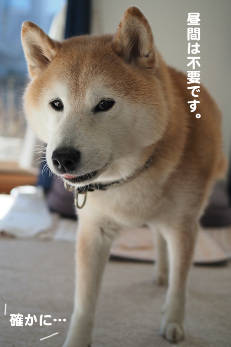 17日夕ブログ６