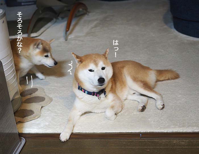 23日ブログ３