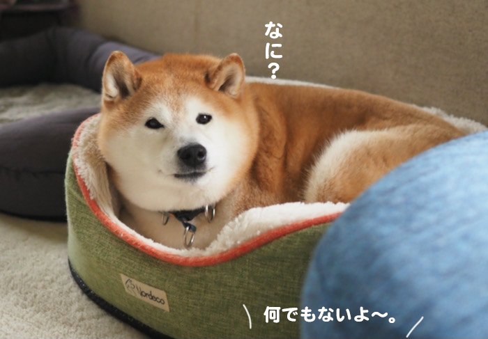 16日夕ブログ６