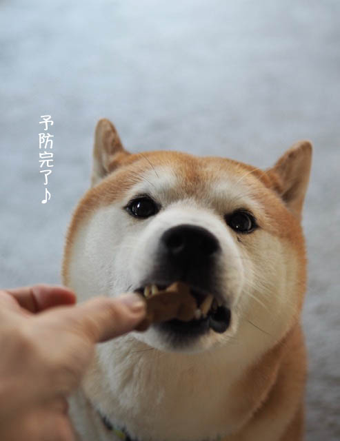 1日ブログ5