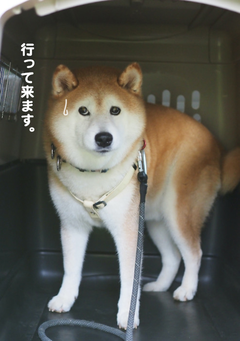 25日夕ブログ１０