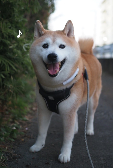 10日ブログ４