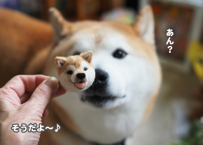 1日夕ブログ７