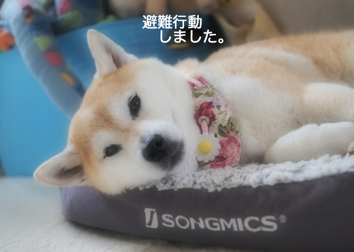 17日ブログ５