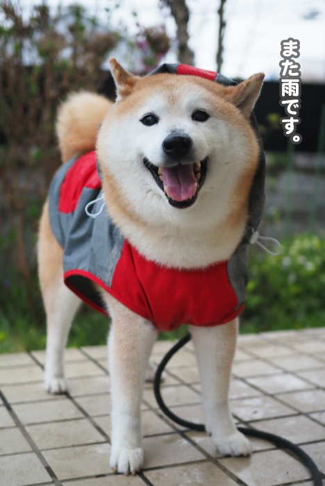 26日ブログ２