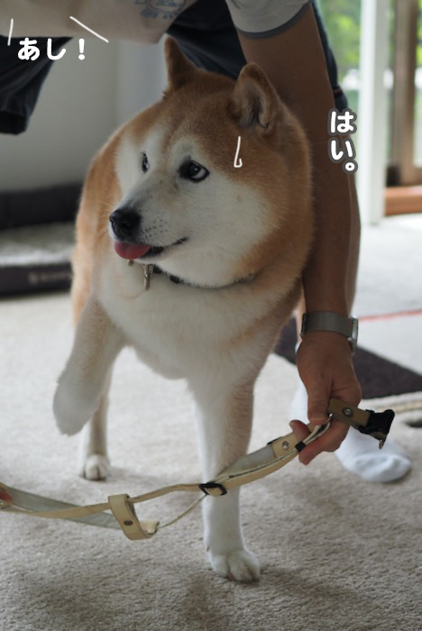13日夕ブログ４