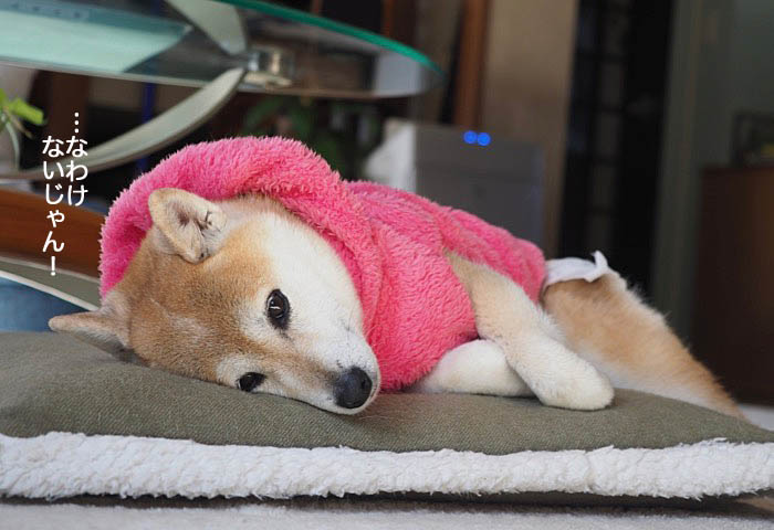 8日ブログ２