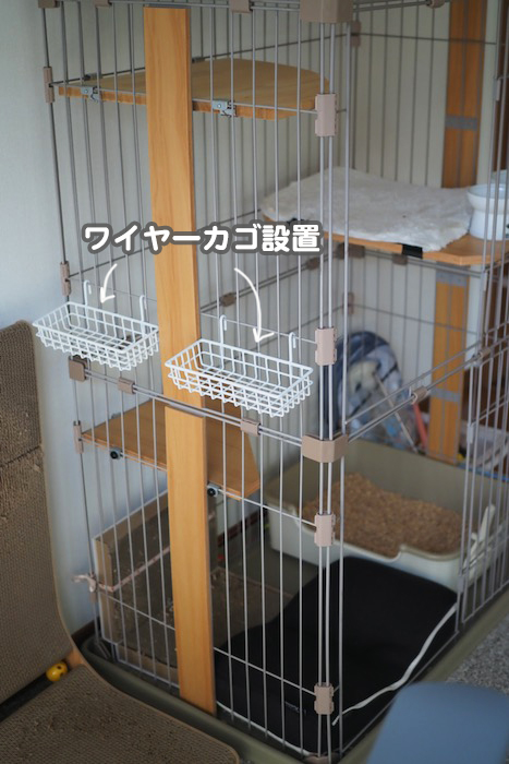 3日夕ブログ３