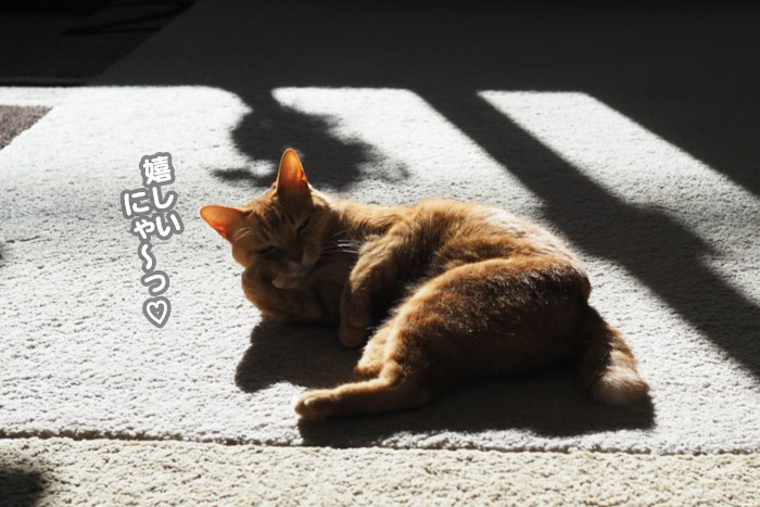 12日夕ブログ３