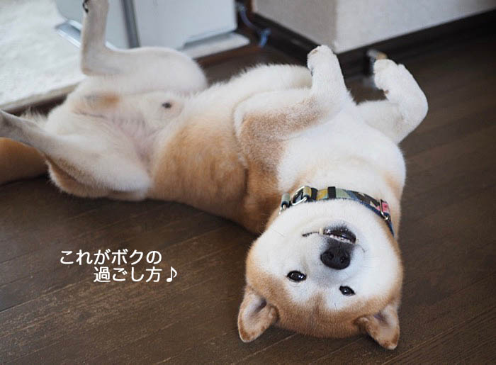 5日ブログ２