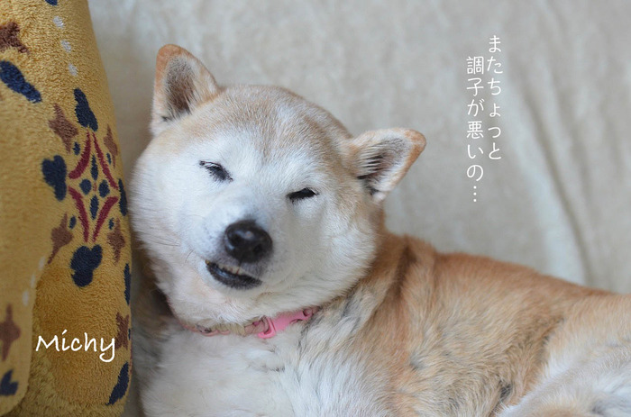28日ブログ3