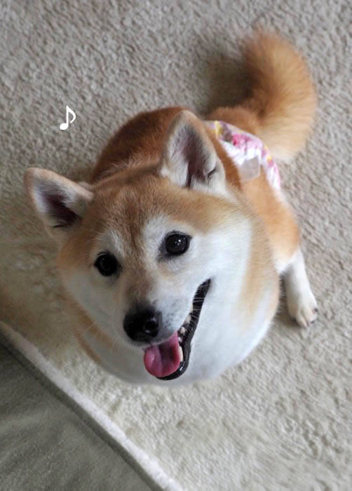24日ブログ４