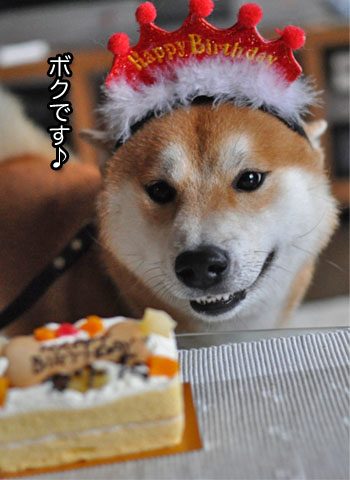 23日ブログ14.jpg