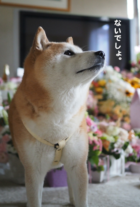 20日ブログ５