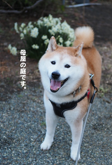 10日夕ブログ５