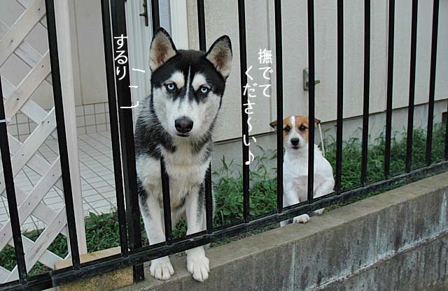 24日ブログ5
