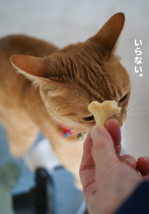 7日ブログ4