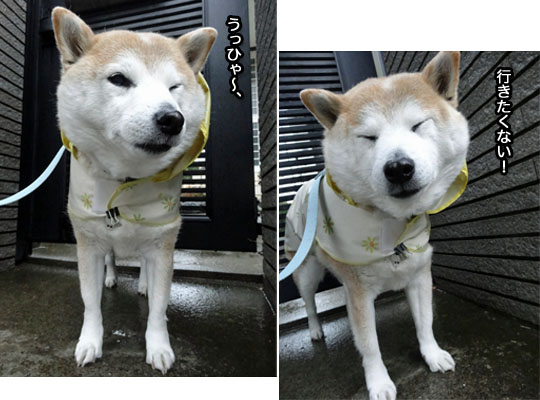 5日ブログ2.jpg