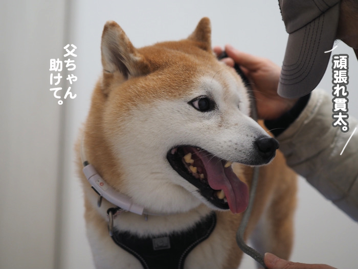 6日夕ブログ８