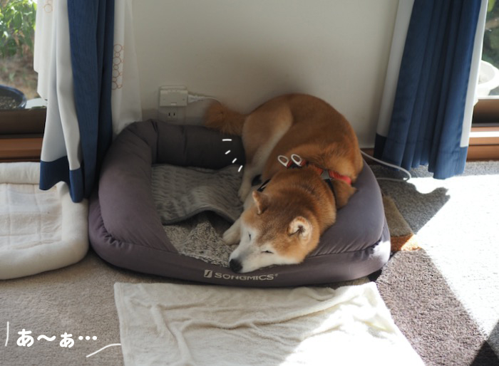 24日夕ブログ２