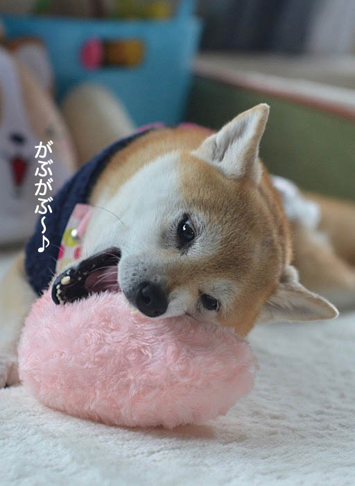 15日ブログ2