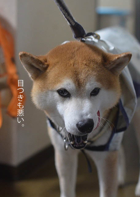 3日ブログ3