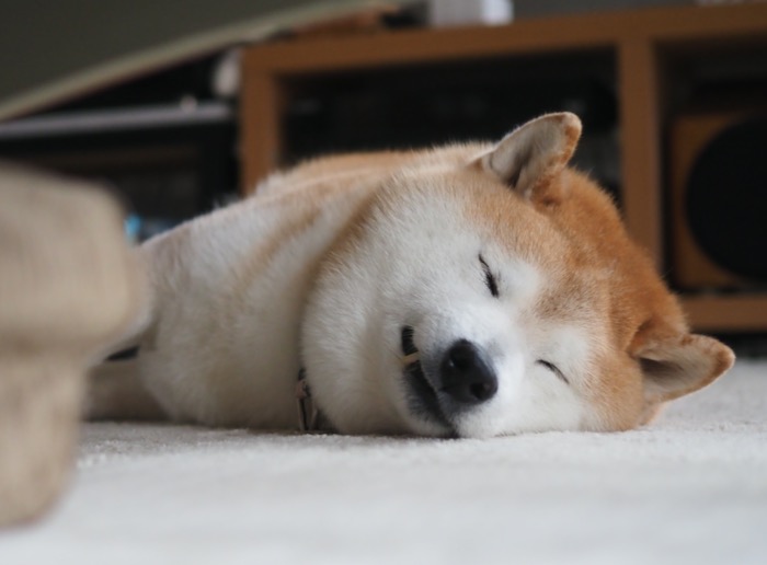 17日ブログ２