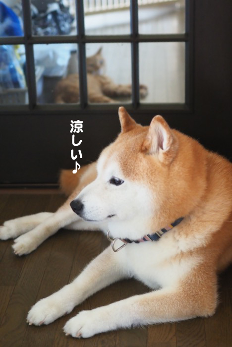 7日ブログ3