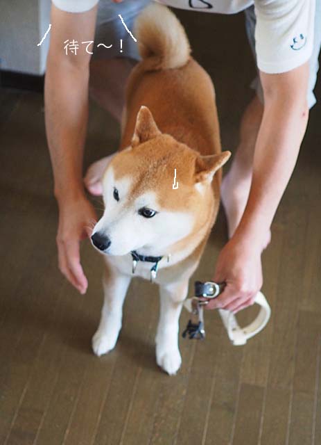 20日ブログ７