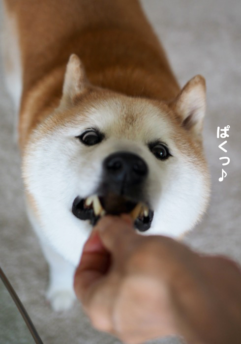 14日夕ブログ５