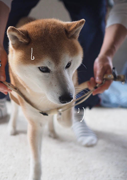 13日午後ブログ３