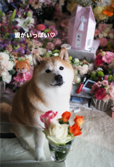 21日ブログ６