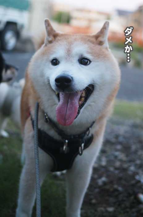 25日ブログ7