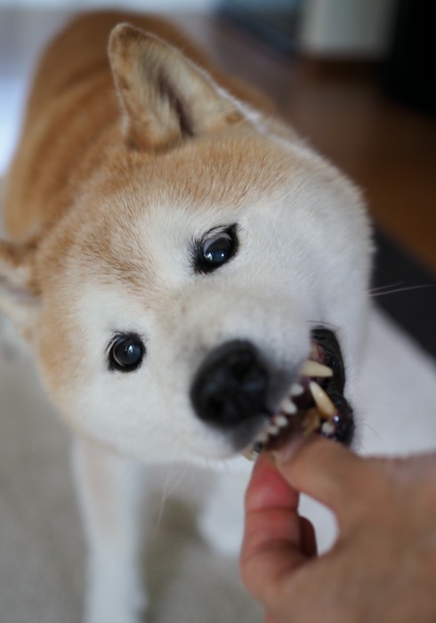 4日ブログ3