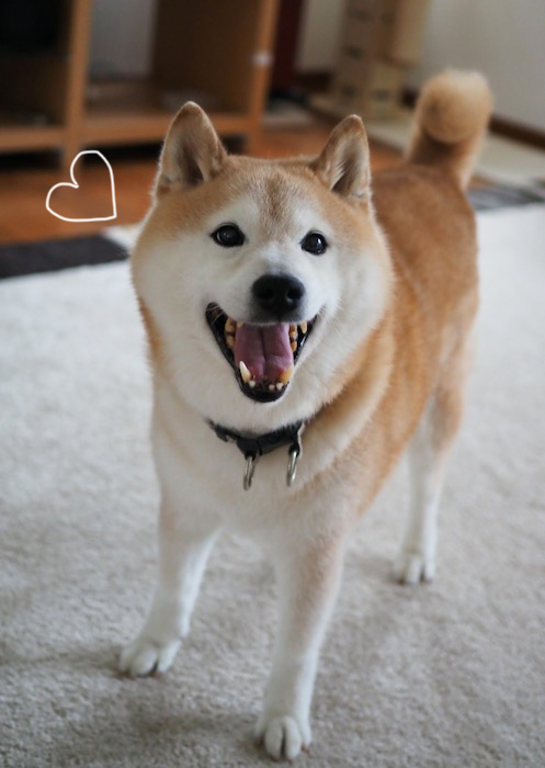 22日ブログ３