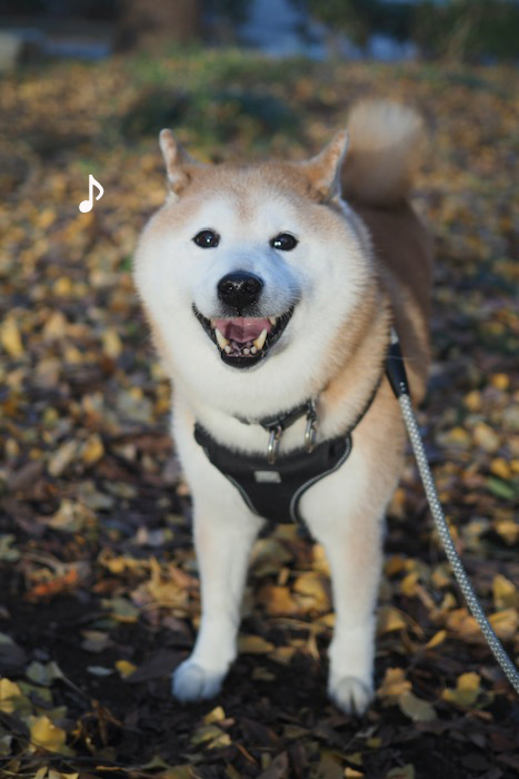 12日夕ブログ４