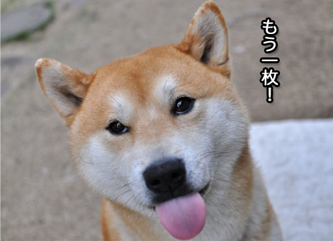 26日ブログ21.jpg