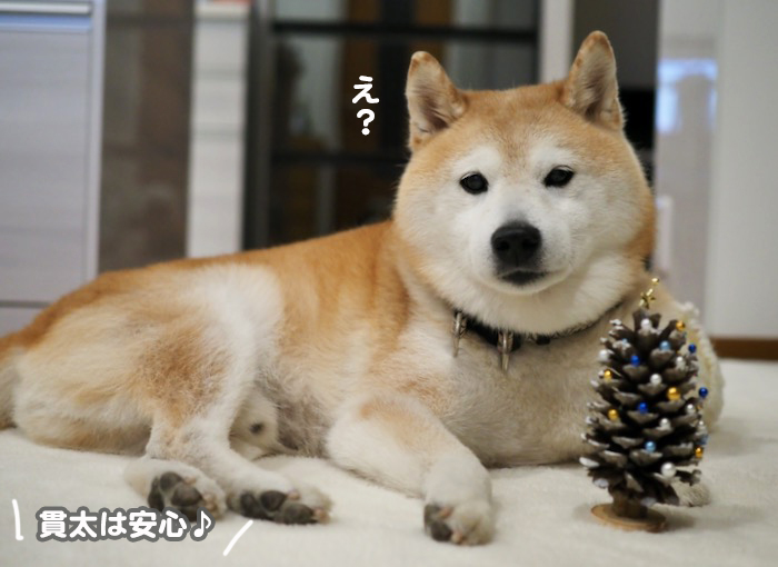 25日夕ブログ３